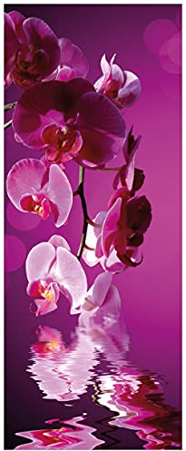 Wallario selbstklebendes Poster - Rosafarbene Orchidee Blüten in pink, Aufkleber in Premiumqualität, Klebefolie Größe: 50 x 125 cm