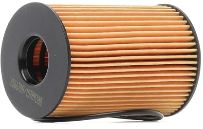 RIDEX 7O0273 Ölfilter Kompatibel mit BMW 5 Touring F11 Filtereinsatz
