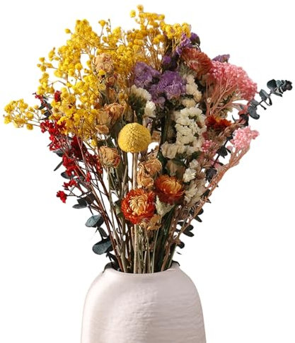 Halinuia 30 ramos de flores secas decorativas, 11 especies secas plantas otoñales ramo de lavanda Gypsophila crisantemo, flores reales naturales para jarrón, bomboneras, resina, velas, álbum regalo