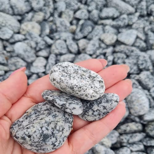 V-PREMIUM SOLUTION - Dekosteine - Grauer Kieselstein - Dalmatiner - Kieselsteine - Deko Verschiedene - Natur Deko Kieselsteine Grau 2-4 cm - Gemischter Flusskies für Vasenfüller