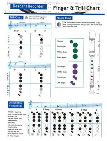 Alipis Blockflöten Akkordtabelle Beschichtet Tragbares Flöten Finger Übungsdiagramm Für Anfänger Bass Blockflöte 8-loch Lernhilfe Langlebiges Zubehör Für Musikunterricht