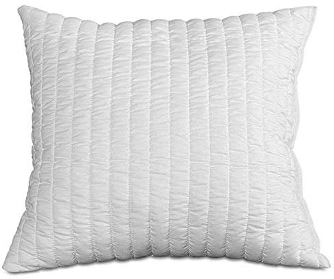 Evergreenweb – Füllung für Kissen, 50 x 50 cm, aus hypoallergenem Memory-Schaum, Innenkissen für Kissen, Sofa, Bett, Wohnzimmer