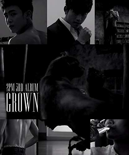 JYP Entertainment 2PM - Grown [Random ver.] (Vol.3) Album