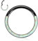 16G Septum Schmuck Weißer Opal Septum Clicker Ring Daith Ohrringe 316L Chirurgenstahl Higned Segment Nahtloser Nasenring Ring Schwarze Knorpelohrringe Helix Tragus Rook Piercing Schmuck 8mm