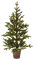 Kaemingk Everlands Queensland Mini Tree Pre Lit 45cm