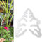 Monstera Grapple, Monstera Plant Grapple, Unique & Aesthetic Monstera Plant Support, Monstera Leaf Plant Support, Turtle Shell Bamboo Clamp Set, Keeps Plants Tame & Growing Vertical (#1)