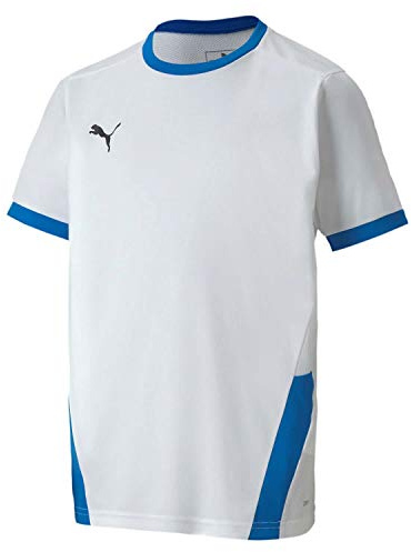 PUMA teamGOAL 23 Jersey jr