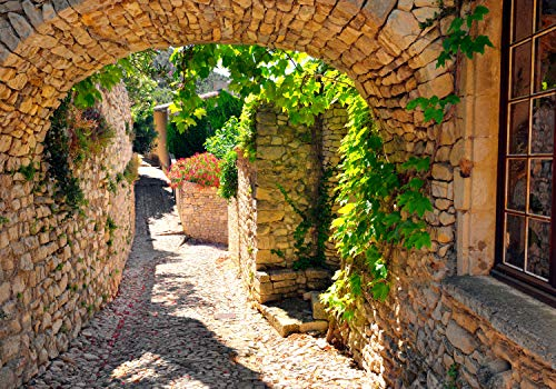 decomonkey Fototapete selbstklebend Garten 98x70 cm Selbstklebende Tapeten Wand Fototapeten Tapete Wandtapete klebend Klebefolie Natur Pflanzen Efeu Mauer