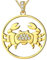 Star Sign Coin Charm Pendant Zodiac Cancer Necklace 925 Sterling Silver Constellation Necklace Star Necklace Celestial Jewellery Gifts for Women Girls FP0093X