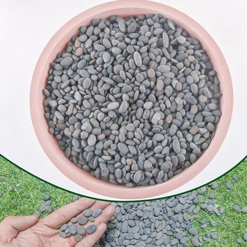 CJGQ Ciottoli di fiume da 1,1 kg per piante e piante grasse, rocce decorative per giardini paesaggistici esterni, piccoli ciottoli da spiaggia messicana naturali per acquari, ghiaia per acquari, vasi