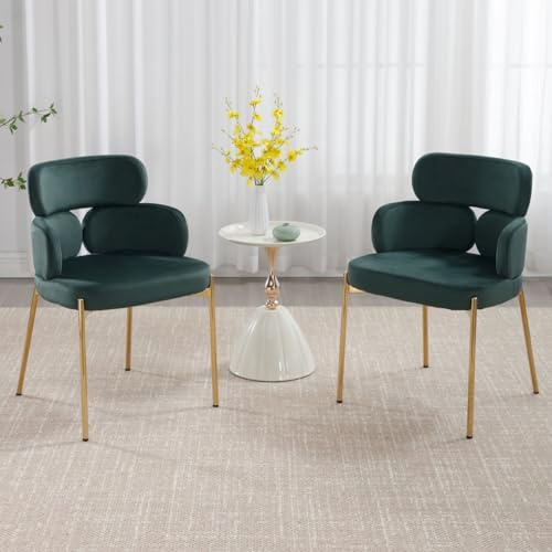 DAYALANE Esszimmerstühle 2er Set, Dining Chairs aus Kunstfell, Grün | Gepolsterter Küchenstuhl, mit gebogener Rückenlehne & Metallbeinen, Küchenhocker für Esszimmer & Küche