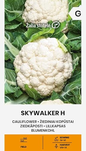Zalia stotele | COLIFLOR - SKYWALKER H Semillas | Semillas de Hortalizas | semillas de coliflor | semillas de plantas | semillas de jardín | 1 paquete