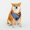 Hunde-Halstuch, Stiefmütterchen, Blumen, verstellbar, Haustierhalstücher für Hunde, Weihnachten, Haustier-Schal, Dreieck-Lätzchen, Halstuch, weich, atmungsaktiv, Welpen-Bandana für kleine, mittelgroße