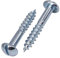 SKIR'CO (50 pièces) Vis à Bois Acier Zingué 4.0 x 25 mm, Vis à Bois Tête Ronde Fendue, Vis DIN 96