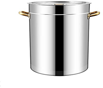 Olla de inducción grande y profunda de acero inoxidable con tapa, olla profunda de fondo compuesto para cocinar sopa de estofado (tamaño: 30 x 32 cm (20 L))