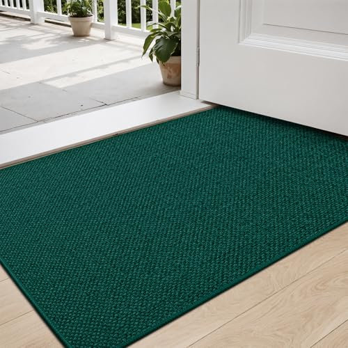 DEXI Fußmatte Innen 80 x 120cm, rutschfest Schmutzfangmatte, waschbar Fussmatte, Dünne Eingangstürmatte, Strapazierfähige Türmatte für Innenbereich, Grün