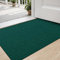 DEXI Fußmatte Innen 80 x 120cm, rutschfest Schmutzfangmatte, waschbar Fussmatte, Dünne Eingangstürmatte, Strapazierfähige Türmatte für Innenbereich, Grün