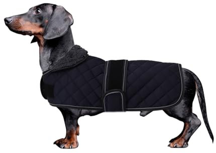 MOREZI Dackel Hund Winterjacke. wasserdichte Hundejacke. Mit Wolle, inneren und verstellbaren Schultergurten. Hundekleidung im Freien-Marine-Blau-M