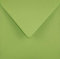 Netuno 100 Briefkuverts quadratisch Hell-Grün 153 x 153 mm 115g Sirio Color Lime quadratische Umschläge farbig für Hochzeit Geburtstag Taufe Weihnachten Dankeskarten Briefumschläge Einladungen