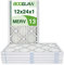 BOOGUAN Plissierter HVAC HC Ofen-Luftfilter, 6er-Pack (MERV13, 12 x 24 x 1)