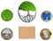 Hello Moss DIY Moosbild in Baumform - Moosbild selber machen set - Set bestehend aus 300g Reindeer Konserviertes Moos und Wanddeko in Baumform 30cm - Moosbild DIY Set