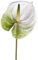 Künstliche Anthurium-Lilien, 61 cm, grünes Blatt für Hochzeit, Festival, Party, künstliche Blumen, Seidenpflanzen, DIY, Hochzeit, Braut (weiß)