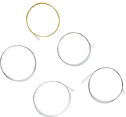 5-Strängad Banjo Strängar i Rostfritt Stål, Harmonisk Resonans, Bekväm Spelkänsla