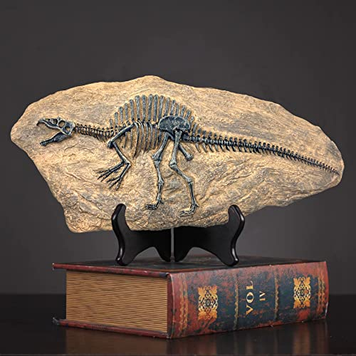 FUNSXBUG Harz Spinosaurus Dinosaurier Skelett Fossil Statue Figuren Skulptur Sammlerstücke Home Office Desktop Display Dekoration (Dinosaurier 4)