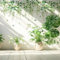 Tomtary Hanging Green Vine Wall Decals Removable Branch Strings Plants Leaves Wall Stickers Self-Adhesive Flower Petals Wall Decor for Bedroom Living Room Nursery DIY Art Decorations, 90cm X 30cm
