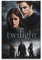 DIGERTECH Twilight-Poster, Vintage-Kunst, Raumdekoration, ästhetisch für Schlafzimmer, Wohnzimmer, Wände, ästhetisches Poster, 30 x 45 cm, ungerahmter Stil