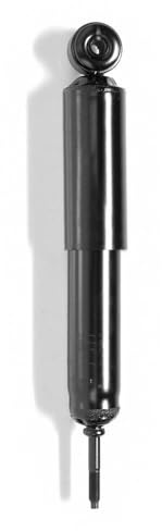 MONROE R2587 2x Stoßdämpfer Öldruck Hinten Kompatibel mit RENAULT 4 112 0855813500 0982369900 0982372200