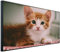 Ecowelle Infrarotheizung mit Bild | 750 Watt | 60x120 cm | Infrarot Heizung| | Made in Germany| b 94 Katzchen