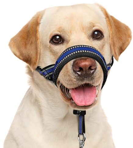 BARKLESS Weiches Hundehalsband, patentiert, gepolstert, kein Ziehen, Nasen-Halfter mit Sicherheitsglied für mittelgroße und große Hunde, verstellbare Maulkorb-Leine, einfache Kontrolle beim