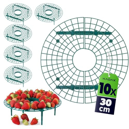 KADAX 10er Set Erdbeerstützen 30cm, Schutz für Erdbeeren, Erdbeerreifer aus Kunststoff, Erdbeerschutz, Schneckenschutz für Erdbeerpflanzen, Erdbeergitter