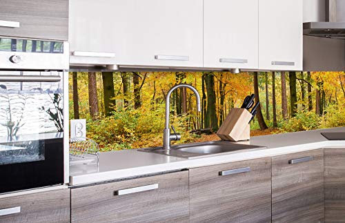 Dimex Küchenrückwand Folie selbstklebend HERBSTWALD | Klebefolie - Dekofolie - Spritzschutz für Küche | Made in EU - 260 cm x 60 cm