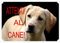 Cartello, Targa ATTENTI AL CANE da Cancello LABRADOR cm 30 x 21,5