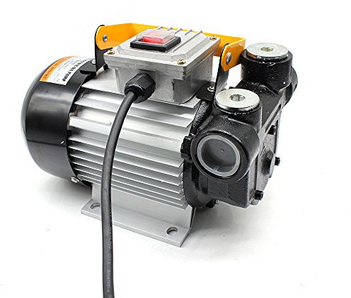 YUNRUX - Pompa elettrica per carburante, 230 V, 550 W, pompa autoadescante, 60 l/min