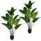 PASCH® 2 x Bananenbaum Kunstpflanze groß (160 cm) - Langlebig & Naturgetreu | Kunstpflanzen groß | Künstliche Pflanzen groß | Palme künstlich | Künstliche Palme | Kunstbaum für natürliches Ambiente