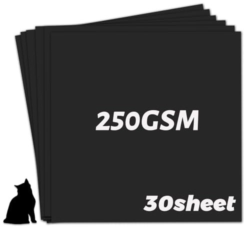 YINUOYOUJIA Karton, 30,5 x 30,5 cm dickes Papier, 30 Blatt, 250 g/m², schwarzer Karton