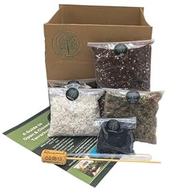 DIY Medium Open and Closed Terrarium Kit (White Pebbles)