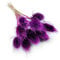 Enchanted Trockenblumen Dekogras Distel Getrocknetes Gras Ziergras Natürlich Deko Violett
