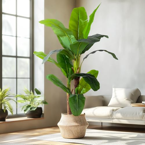 Artificial Banana Tree (6ft)