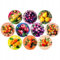 Green Hobby - Lot de 40 couvercles à visser - Diamètre : 82 mm - Pour bocaux - Fruits 2