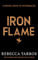 Iron Flame: DISCOVER THE GLOBAL PHENOMENON THAT EVERYONE CAN'T STOP TALKING ABOUT! (The Empyrean)