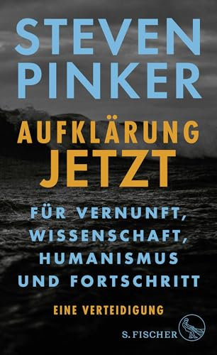 Aufklärung jetzt: Für Vernunft, Wissenschaft, Humanismus und Fortschritt. Eine Verteidigung