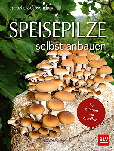 Speisepilze selbst anbauen: Für drinnen und draußen (BLV Selbstversorgung)