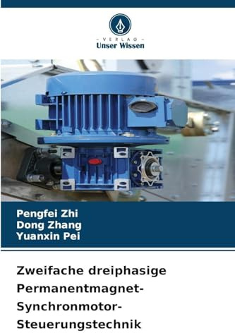 Zweifache dreiphasige Permanentmagnet-Synchronmotor-Steuerungstechnik