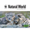 WWF Natural World Box Calendar 2023