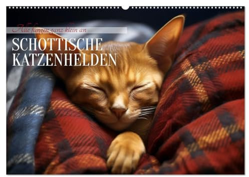Schottische Katzenhelden (Wandkalender 2025 DIN A2 quer), CALVENDO Monatskalender