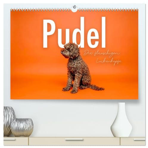Pudel - Die flauschigen Lockenköpfe. (hochwertiger Premium Wandkalender 2026 DIN A2 quer), Kunstdruck in Hochglanz: Flauschige Vierbeiner. (CALVENDO Tiere)